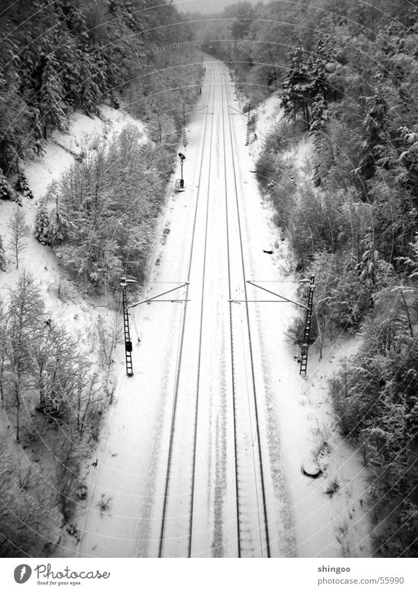winter track bed Winter Snow Environment Nature Landscape Beautiful weather Ice Frost Forest Traffic infrastructure Passenger traffic Public transit Logistics