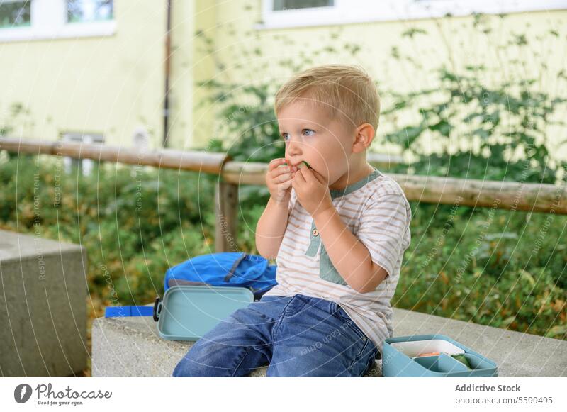 Adorable child boy sitting on bench with lunchbox and eating food in daylight kid preschool salad lunch box adorable healthy food summer hungry tasty delicious