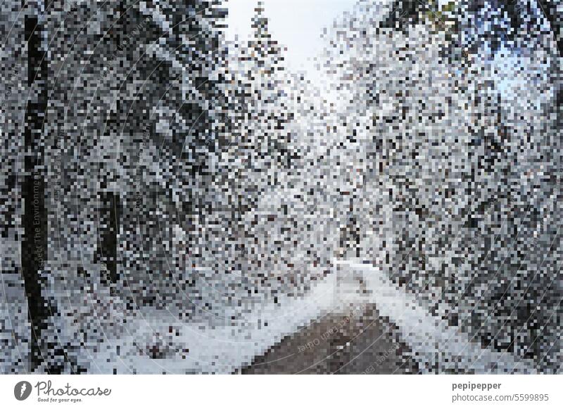 Matrix - Winter landscape with snow matrix style Grid Pattern Structures and shapes winter landscape Winter mood Wintertime winter cold winterly peace