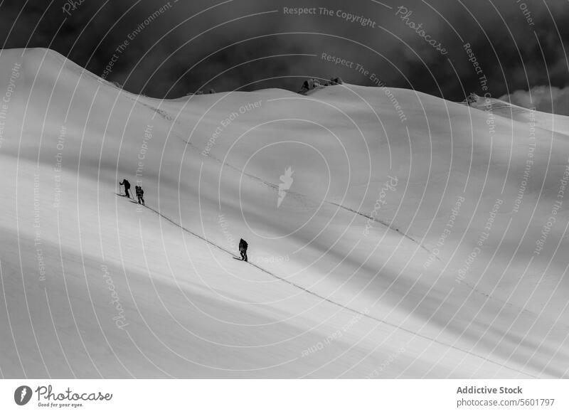 Climbers walking on snowy mountain on sunny day people climber snowcapped climbing adventure active together landscape hiker slope unrecognizable carefree