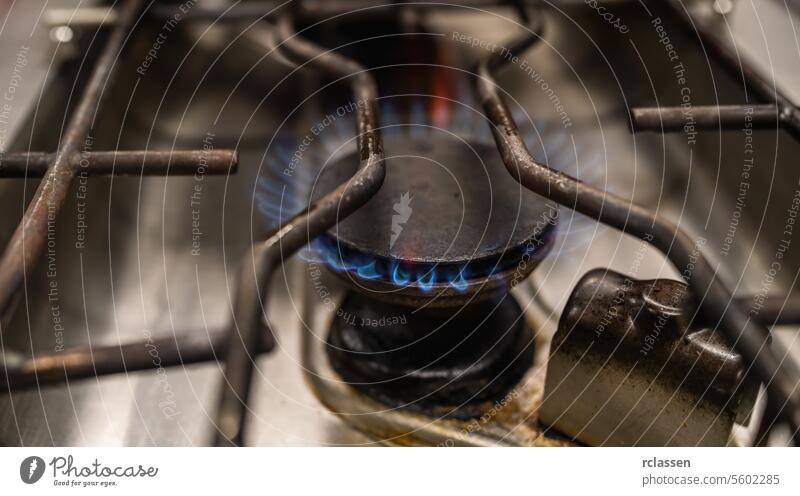 Closeup shot of blue fire flames from a professional kitchen stove top. Gas cooker with burning flames of propane gas. Industrial Luxury hotel cooking resources and economy concept image.