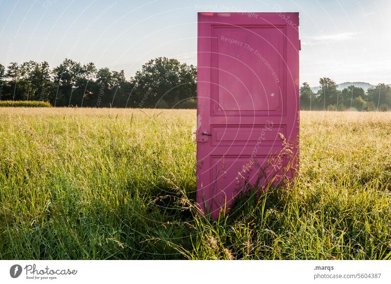 new land Symbols and metaphors door Meadow Summer Beautiful weather Cloudless sky Individual pink Nature Sunlight Search Adventure start New Entrance