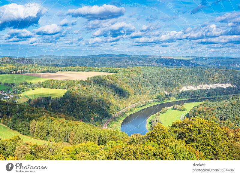 View over the Elbe to Saxon Switzerland Elbsandstone mountains Field Meadow River Tree Forest Saxony Nature Landscape Autumn Water Sky Clouds Blue Green