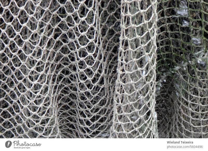 Detail of a fishing net - a Royalty Free Stock Photo from Photocase