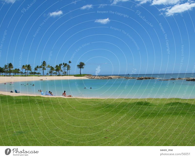 Bay of Oahu, Hawaii Beach Sandy beach Summer Lagoon Paradise