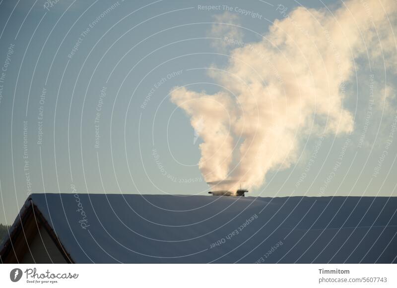 White smoke from the chimney Fireside Smoke steam Sunlight morning sun Roof Shadow Snow Black Forest Sky Blue Deserted Beautiful weather Weather