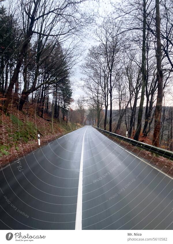 highway Autumnal weather Lane markings Continuous line no passing Country road In transit Transport Motoring Asphalt Right ahead Tree Environment Landscape