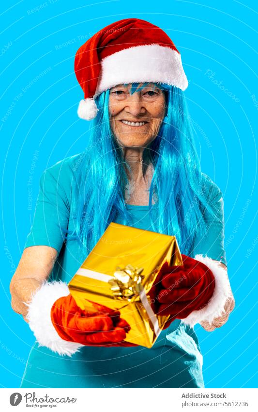 Cheerful aged woman in blue wig and Santa hat and gloves giving present to camera on blue background christmas give wrap gift box santa hat event xmas celebrate