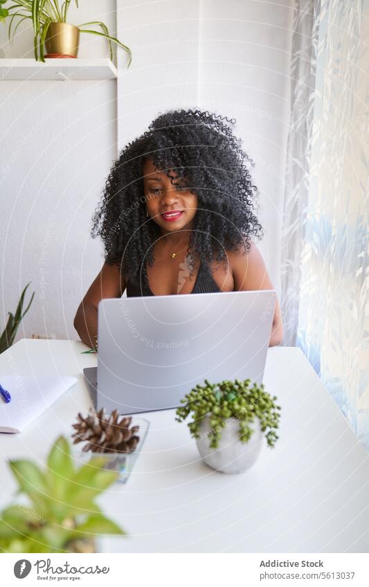 Confident woman with wireless gadget laptop afro hairstyle table confident plant sitting lifestyle home domestic book black room living entrepreneur concentrate