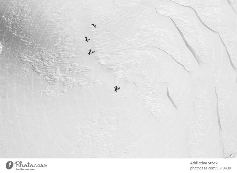 People snowboarding on snowy mountain people ride snowcapped aerial view unrecognizable group snowboarder enjoy vacation alps winter altitude top white together