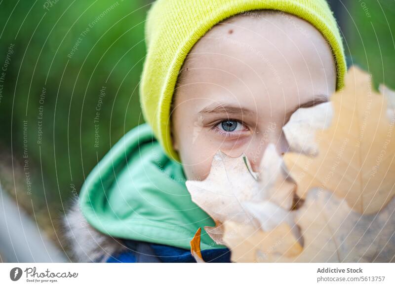 Child with a fall leaf covering his face child autumn eyes boy nature innocence beauty seasonal portrait outdoor young golden peeking playful youth childhood