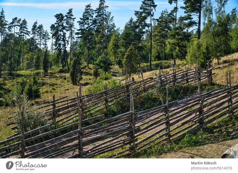 Walk in sweden smalland on a path by the ancient wooden fence. Forest, meadow landscape forest walk nature conventional tourism north sky tree summer