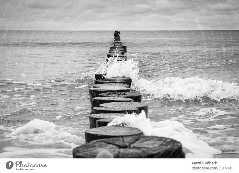 Groynes jut out into the Baltic Sea. Wooden trunks to protect the coast. Landscape sea beach water calm vacation recreation baltic wave nature sand tourism sky