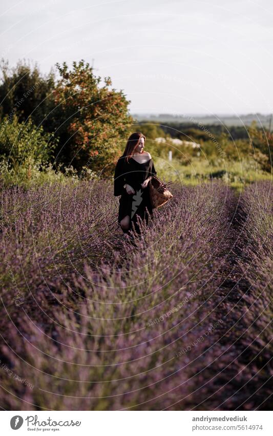 Portrait of young sexy woman in black dress in blooming fragrant purple lavender field and looking at camera. Attractive brunette girl enjoying life and dreaming. Natural beauty concept