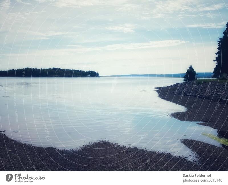 Still water in bay Ocean landscspe stillness calm Minimal outdoors sea Nature coast Sky coastline coastal landscape seascape travel scenic scenery tourism