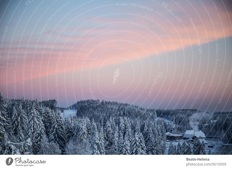 Dawn in the Black Forest dawn chill Snow Winter Landscape Deserted Sky Snowscape White Winter's day Farm Snow layer Weather Smoke Idyll Winter mood