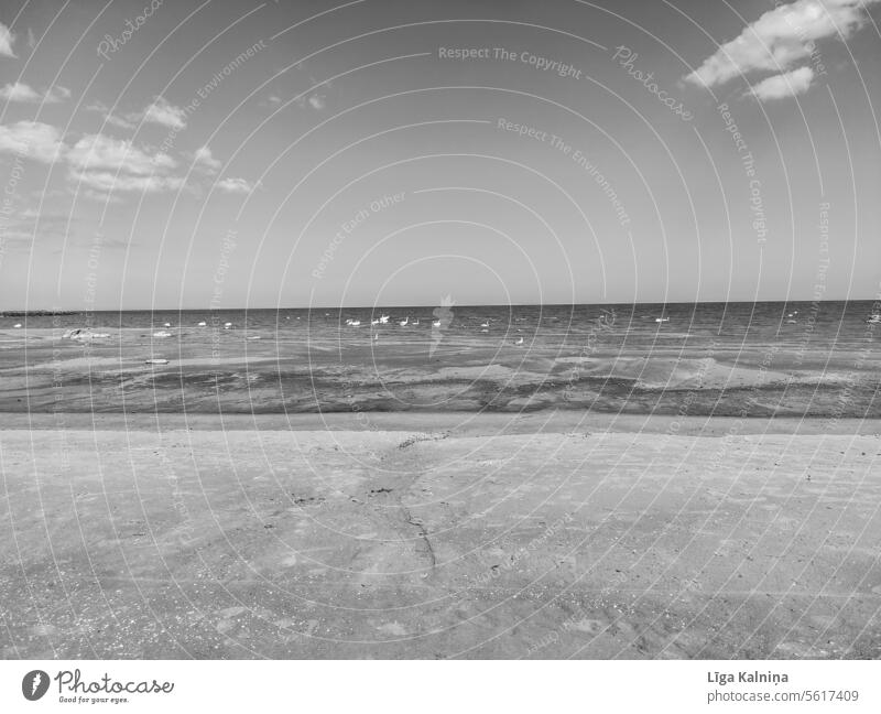Black and white landscape of Baltic beach Sunrise Sunset Atlantic Ocean Sky Sunlight Waves Freedom travel Summer vacation Relaxation Nature Far-off places