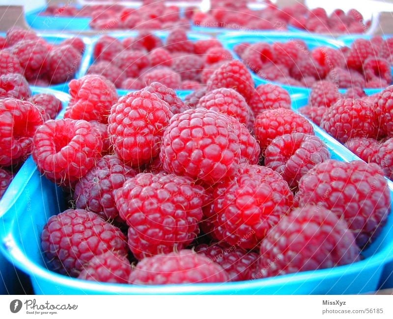 raspberries Raspberry Delicious Sweet Fresh Pink Red Nutrition Dessert Berries Fruit Food Nature Macro (Extreme close-up)