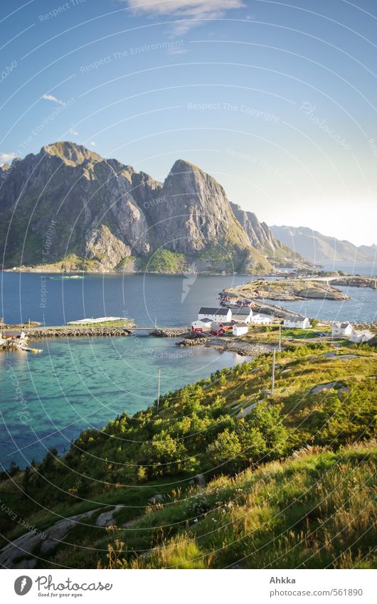 Fjord, Lofoten II Exotic Wellness Well-being Senses Relaxation Calm Vacation & Travel Tourism Trip Adventure Far-off places Freedom Ocean Nature Landscape