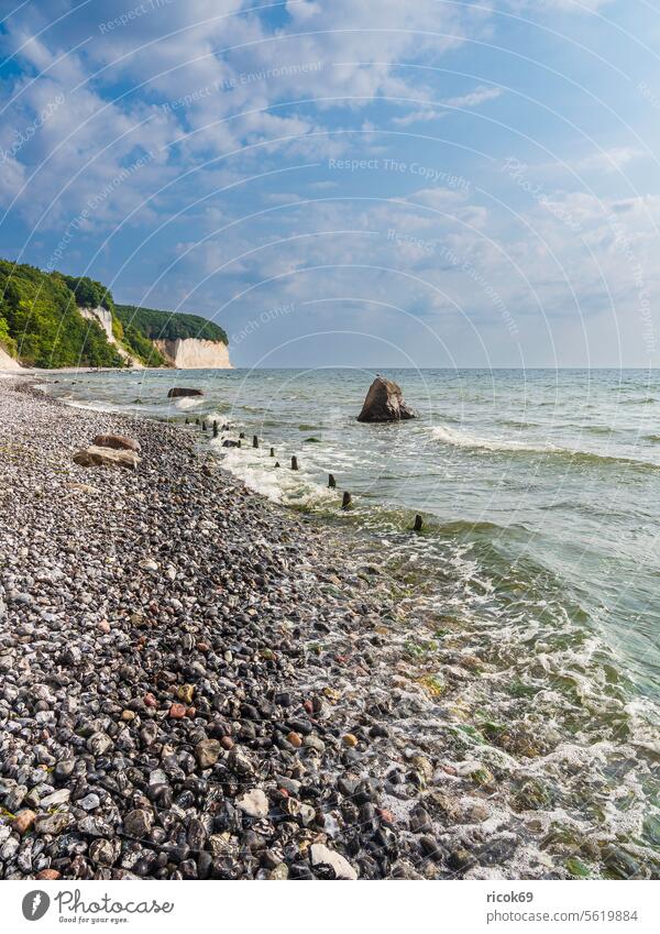 Chalk cliffs on the coast of the Baltic Sea on the island of Rügen Limestone rock Baltic coast Ocean trees steep coast foundling Stone Rock Break water