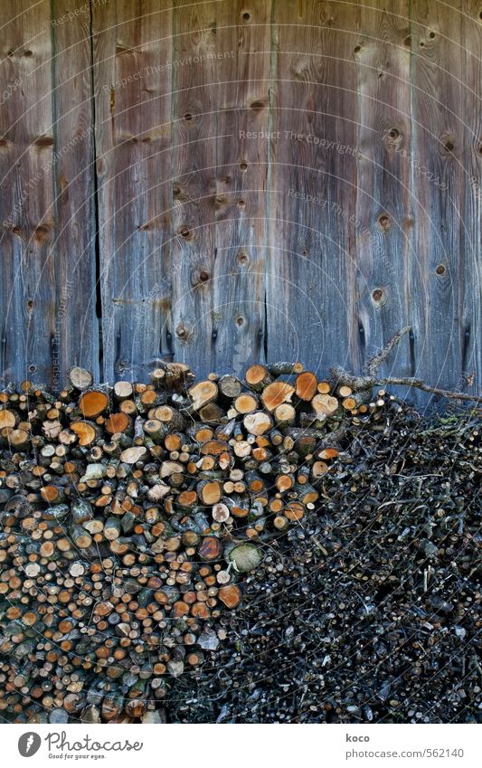 Stockpiling. Plant Tree Branch Wall (barrier) Wall (building) Facade Wood Line Sustainability Round Dry Brown Yellow Orange Black Orderliness Thrifty Supply