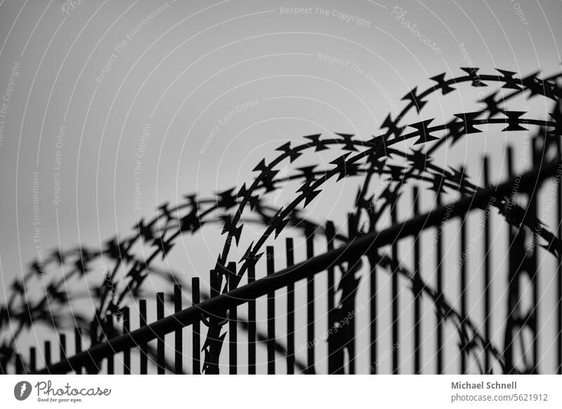 Fence and solid barbed wire Barbed wire Barbed wire fence Border Barrier Threat Captured Safety Protection Dangerous Metal Wire Bondage Bans captivity