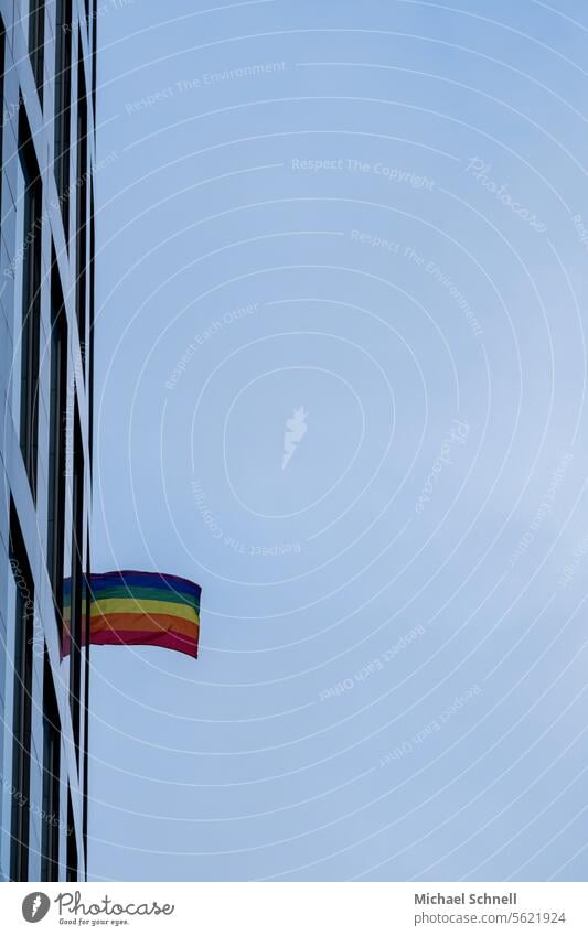 Pride Rainbow Flag – Prismatic Display