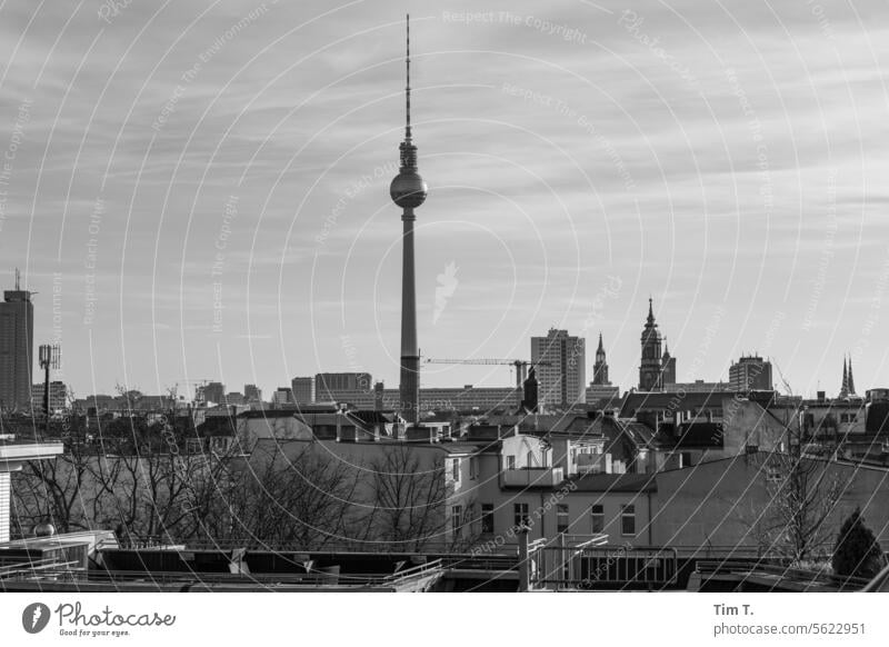 View over the rooftops of Berlin Television tower b/w Skyline Town Day Capital city Downtown Exterior shot Architecture Deserted Manmade structures Building