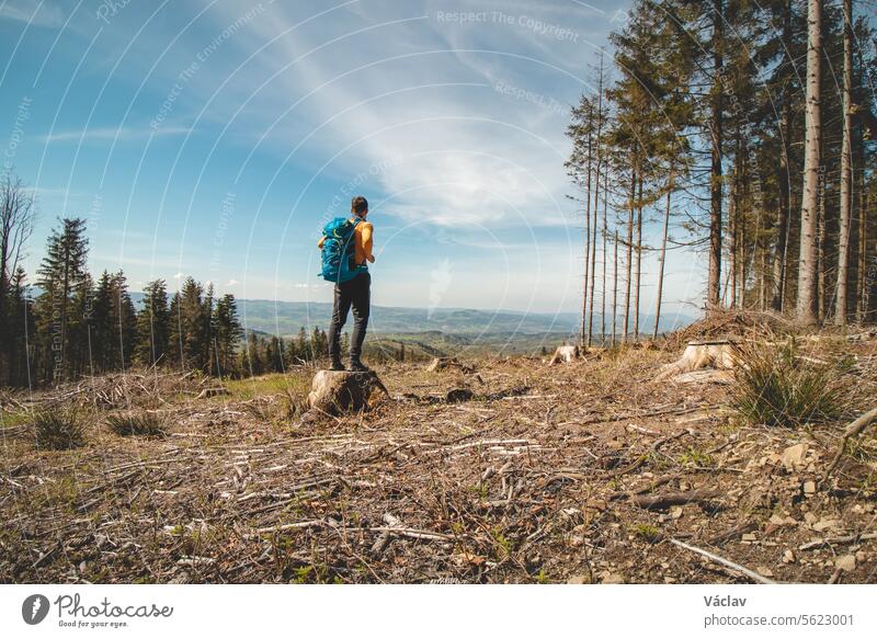 Adventurer and traveller with blue backpack standing on a stump in Beskydy mountains, Czech Republic. Hiking trail backpacker shirt trekking freedom packing