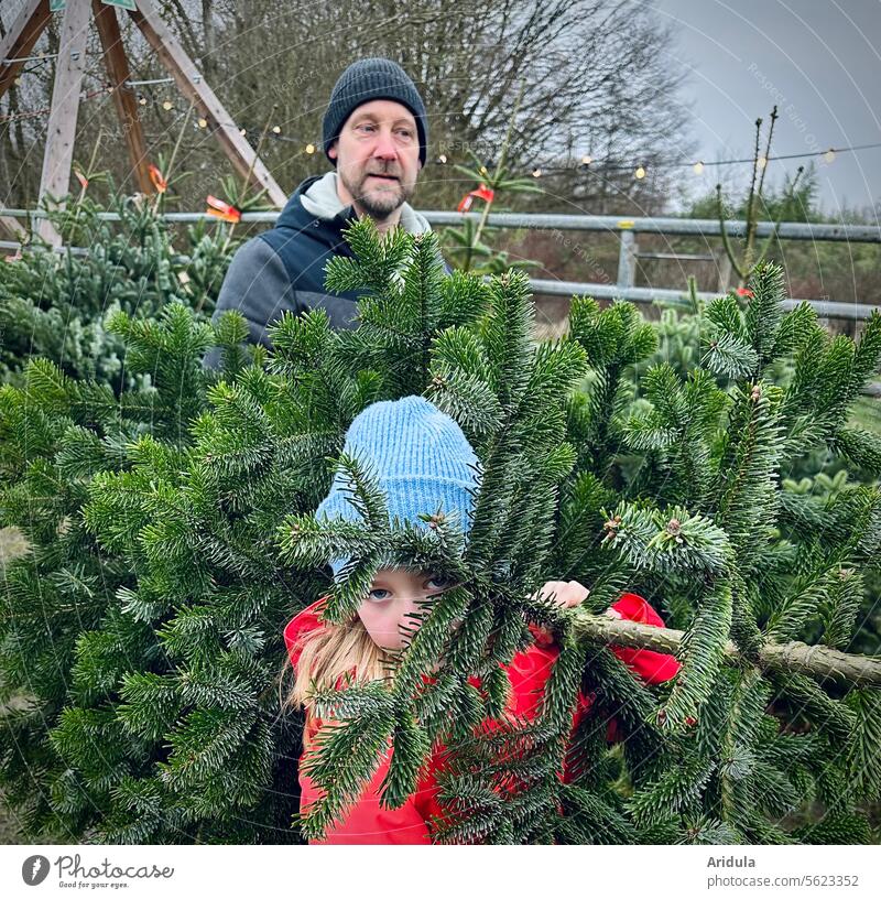 Buy a Christmas tree Child Man Father Fir tree Shopping fir tree twigs Hide Christmas & Advent Tradition pre-Christmas period Anticipation