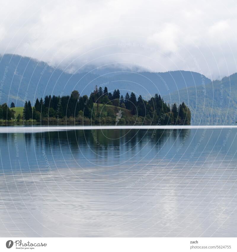 Still Water Lake Reflection Nature reflection Reflection in the water Calm Idyll Lakeside tranquillity Landscape bank trees Island Clouds