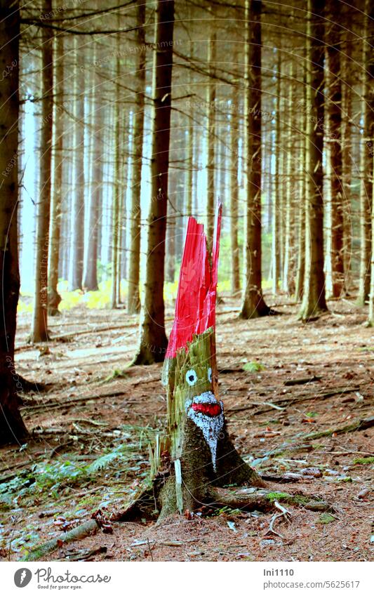 Christmas in the forest too christmas time Forest Spruce forest aborted Slivered Tree stump Colour creatively Funny Painted Santa Claus Santa Claus hat