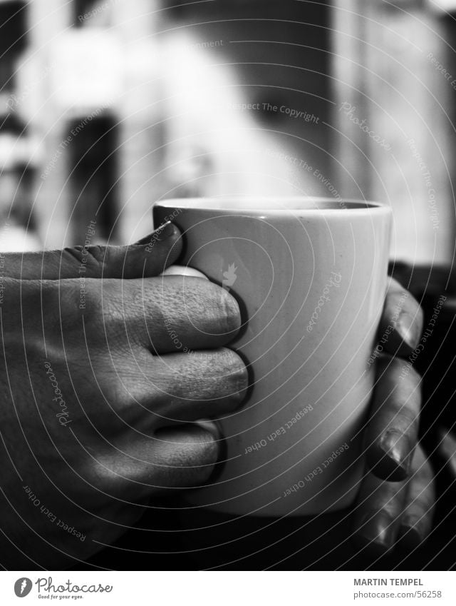 ...something hot now. Black & white photo Close-up Shallow depth of field Buffet Brunch Beverage Drinking Hot drink Hot Chocolate Coffee Tea Mulled wine Cup Mug