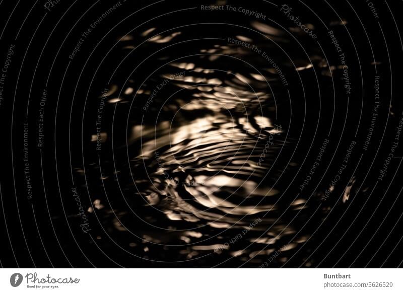 rain circles Rain Water raindrops Drops of water Wet Bad weather Weather Rainy weather interference Reflection Puddle reflection Light Waves