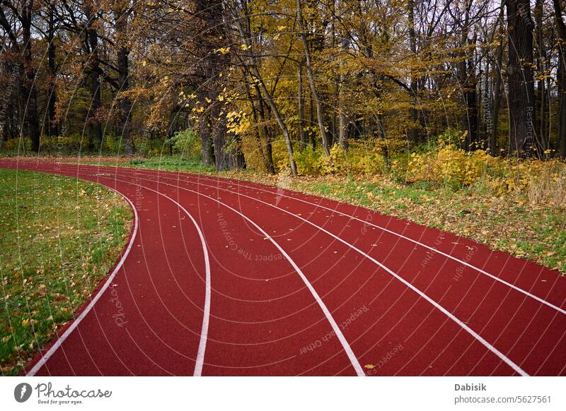 Red runninng race track with lanes at autumn park running track sport red stadium empty background grass line training exercise trees field runway rubber