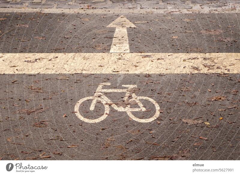 Pictogram of a bicycle with directional arrow at the roadside / road crossing cycle path Cycle path direction arrow Asphalt lines Road marking Winter