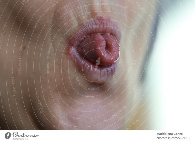 rolled up tongue mouth genes genetics close-up colour wet red rolled tongue old ability woman female .