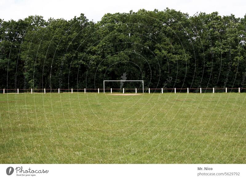Forest stadium Football pitch Meadow Green Leisure and hobbies Soccer Goal Soccer training Foot ball soccer field amateur football field Sporting Complex