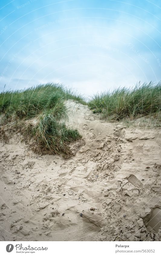 Sand and sky Beautiful Leisure and hobbies Vacation & Travel Summer Beach Ocean Nature Landscape Sky Clouds Weather Wind Grass Coast Footprint Natural Blue