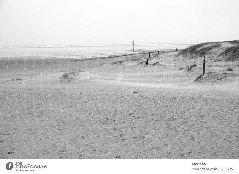 View from the pier to the mudflats and the dunes of St. Peter-Ording in the nature reserve at the salt marshes in rainy weather in the district of Nordfriesland in Schleswig-Holstein in the fall on the North Sea coast in neo-realistic black and white