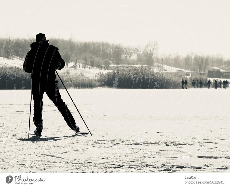 Cross-country skiing on the lake cross-country skiing Cross country skiing Winter sports Snow Winter vacation Skiing frozen lake Cross-country ski trail Sports
