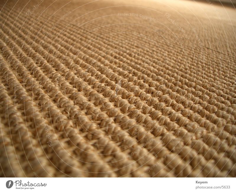 The carpet (?) Carpet Cloth Structures and shapes Macro (Extreme close-up) Close-up Floor covering Wood fiber