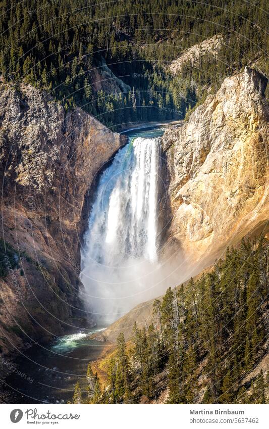 Waterfall in the Grand Canyon of the Yellowstone, Yellowstone National Park yellowstone national park grand canyon of yellowstone waterfall nature landscape