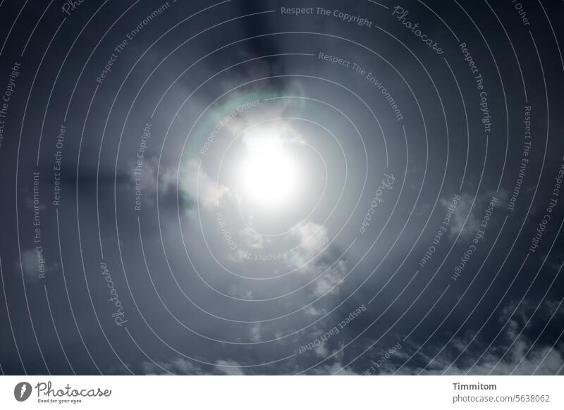 A view of the winter sun Sun Light Radiation Bright brightness Sky Sunbeam Clouds Exterior shot Back-light White Blue Green Halo Lighting effect light and dark