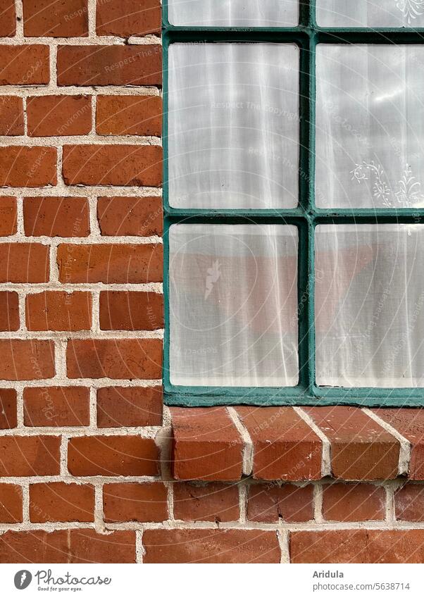 Brick house with green mullioned window and white curtains House (Residential Structure) Window Curtain Building brick wall Stone Lattice window Architecture