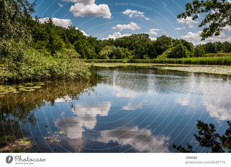 Lake Charlottensee Clouds vacation Vacation mood outdoor Water reflection Relaxation Peaceful Calm Environment Forest Tree bank Beautiful weather trees Sky