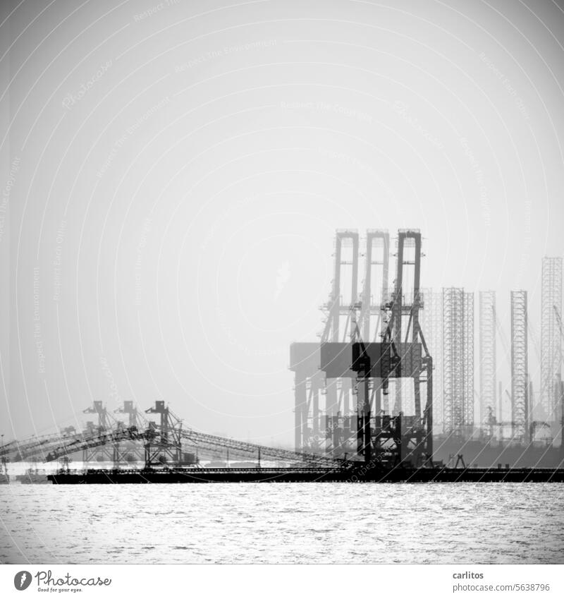 Harbor entrance Manama/Bahrain | Zitterversion III gallery MOMA Pattern Art cover book cover Background picture Crane Jetty Container Container cargo