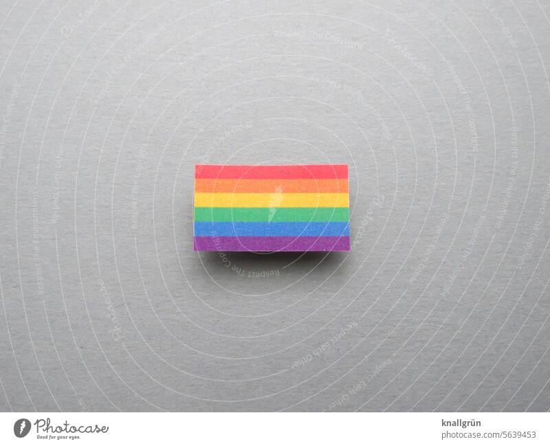 Pride Rainbow Flag – Prismatic Display