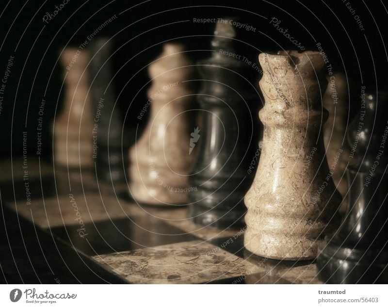 Black and white unite... Chess piece Playing Move (board game) Game board Playing field Chessboard Macro (Extreme close-up) Horse White Wooden board chess