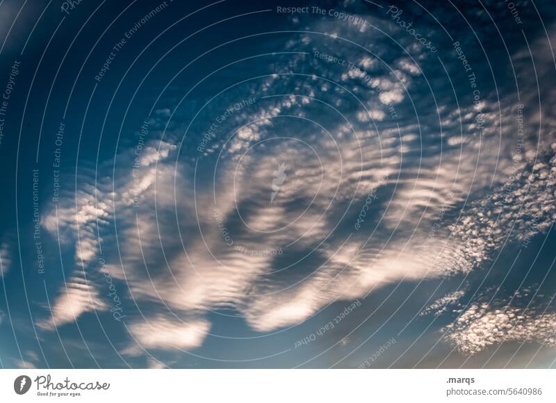 evening sky Air bizarre clouds Cloud formation Moody Nature Clouds Sky Smear Weather Elements Climate Climate change Blue Environment Clouds in the sky